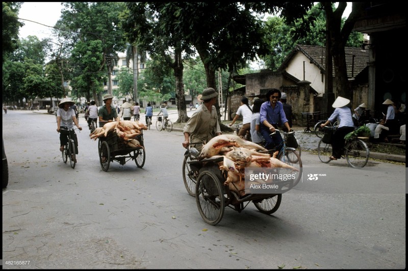 Tron mat canh cho lon bang xe dap o Viet Nam thap nien 1990-Hinh-5