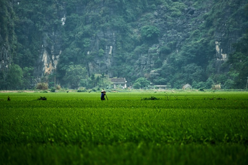 Ninh Binh dep nhu coi tien qua ong kinh quoc te-Hinh-10