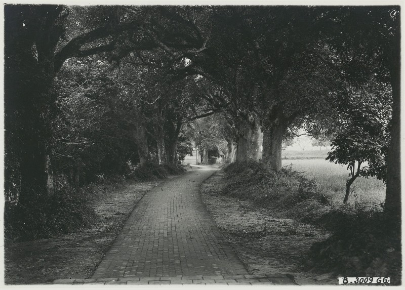 Anh de doi ve den Voi Phuc o Ha Noi nam 1926-Hinh-4