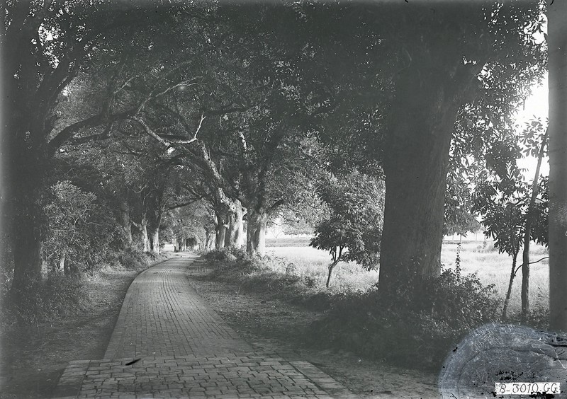 Anh de doi ve den Voi Phuc o Ha Noi nam 1926-Hinh-5