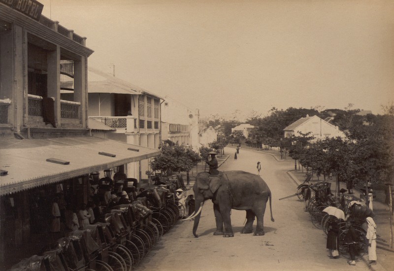 La lung canh voi xuat hien tren duong pho Ha noi xua-Hinh-3