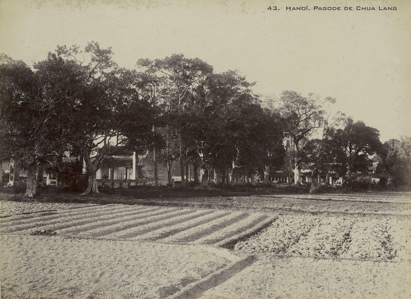 Anh hiem ve cac den chua noi tieng Ha Noi nam 1899-Hinh-7