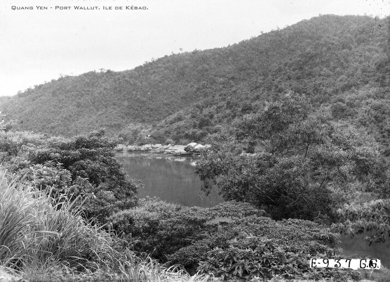 Loat anh cuc quy ve dao Van Don thap nien 1920-Hinh-5