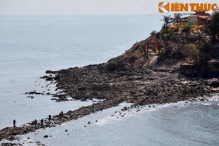 Kho tin: Vung Tau tung mang vo so ten goi khac nhau-Hinh-3