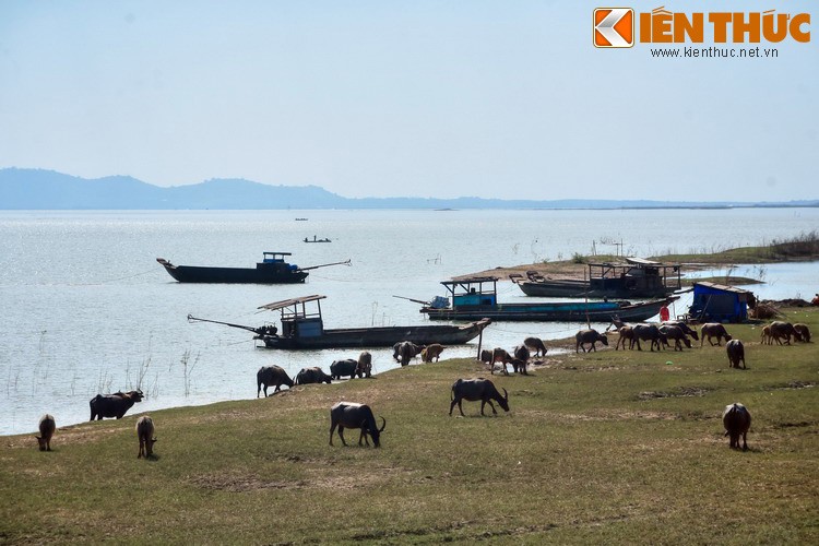 Canh tuong choang ngop ben ho nuoc lon nhat Viet Nam-Hinh-10