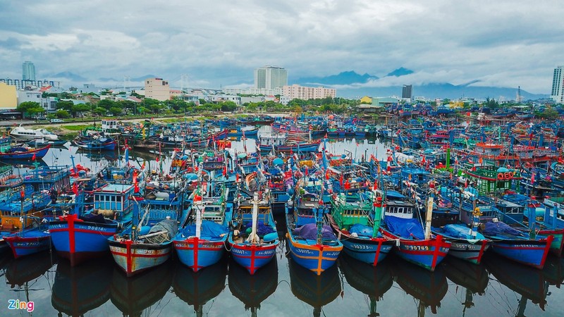 Cang ca lon nhat Da Nang co them 20 ca duong tinh voi nCoV-Hinh-2