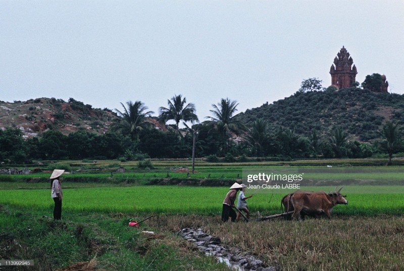 Ngam loat anh sieu doc la ve ba mien Viet Nam nam 1994-Hinh-9