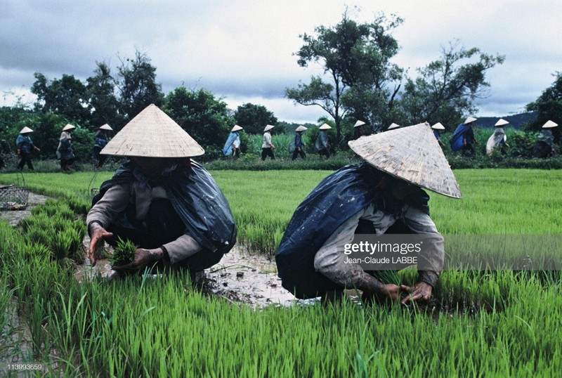 Boi hoi nhin lai cuoc song o nong thon Viet Nam dau thap nien 1990-Hinh-9