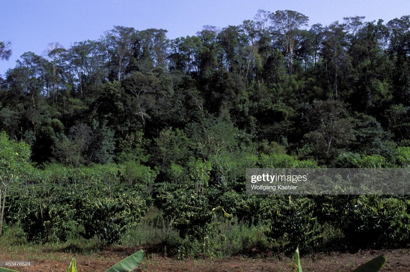 Dak Lak nam 1992 cuc sinh dong qua anh pho nhay Duc-Hinh-7