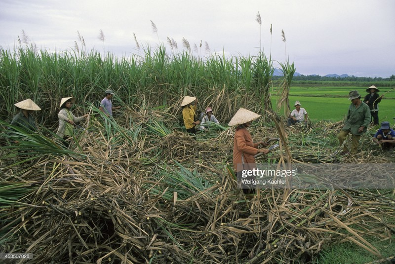 Anh “chat lu” ve Viet Nam nam 1992 qua ong kinh nguoi Duc-Hinh-7