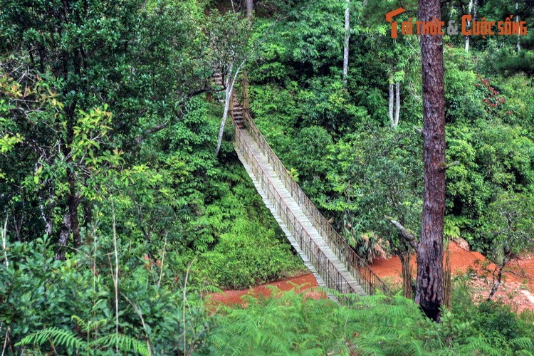 Ngoi lang nhu buoc ra tu co tich giua nui rung Da Lat-Hinh-12