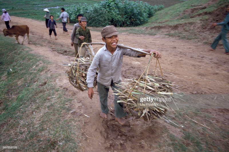 Khung Cảnh Thanh Bình Của Đồng Quê Việt Nam Năm 1987 1