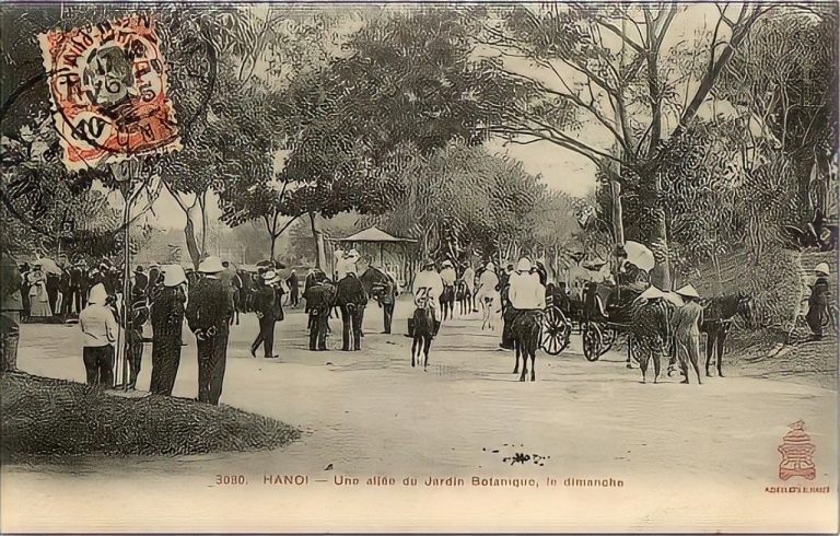 Ngam vuon Bach Thao Ha Noi trong loat buu thiep tram tuoi-Hinh-9