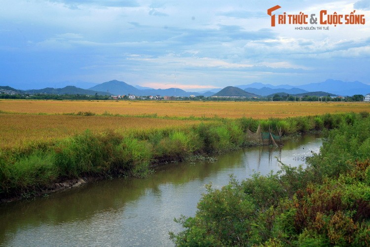 Lang nguoi truoc phong canh tuyet dep cua Co do Hue (2)-Hinh-9