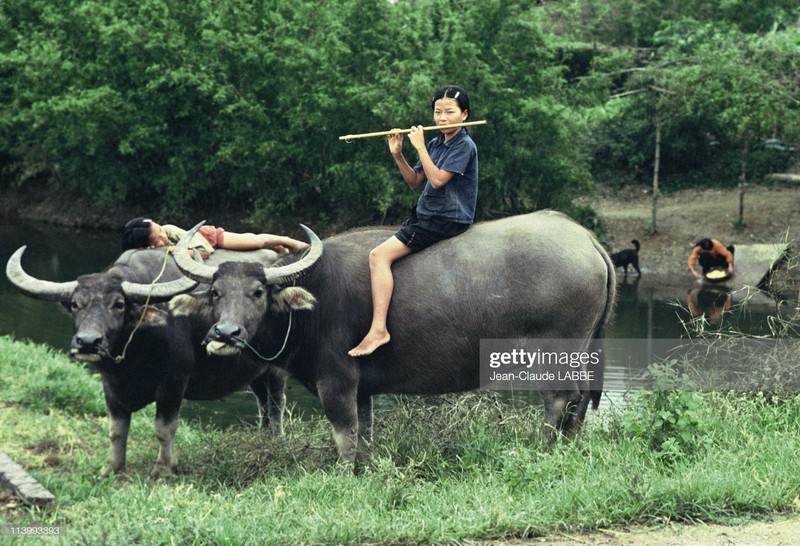 Anh de doi ve phu nu Viet Nam nam 1994 cua Jean-Claude Labbe-Hinh-10