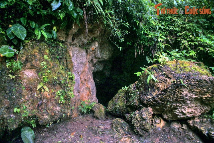 Cau chuyen tinh buon tham trong hang dong noi tieng vung Tay Bac-Hinh-3