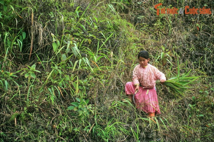 Lac loi giua ve dep nguyen so cua Pho Cao Ha Giang-Hinh-12