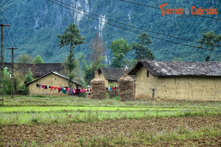 Lac loi giua ve dep nguyen so cua Pho Cao Ha Giang-Hinh-2