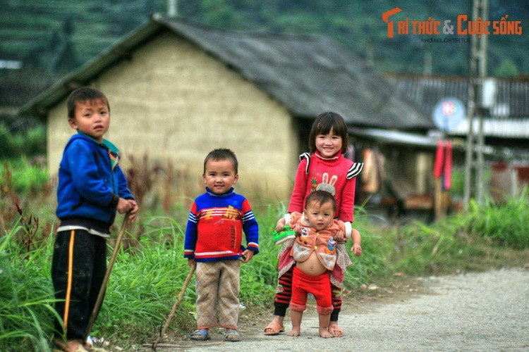 Lac loi giua ve dep nguyen so cua Pho Cao Ha Giang-Hinh-6