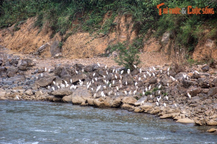 Lang nguoi truoc nhung canh quan ky vi cua Ha Giang (2)-Hinh-10