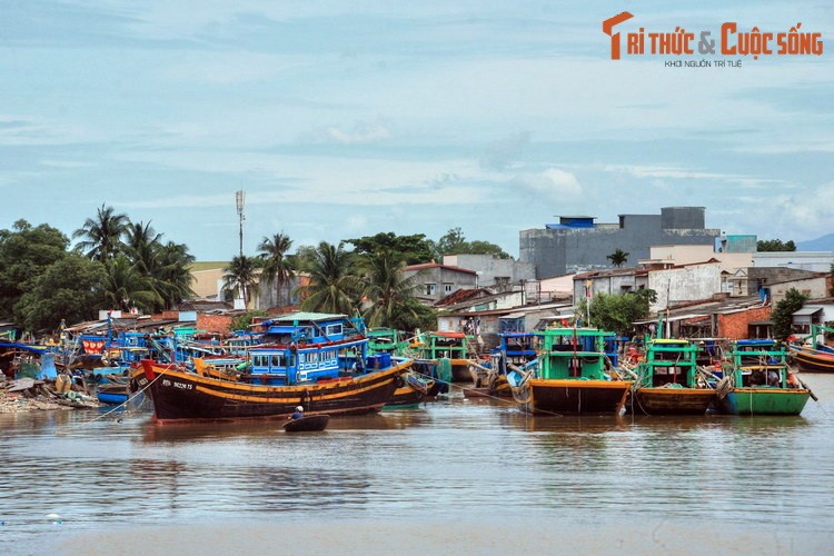 Chuyen thu vi ve song Ca Ty noi tieng cua Phan Thiet-Hinh-2