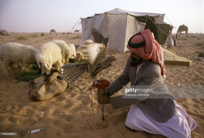 Hinh la ve cuoc song sung suong o A Rap Saudi nam 1980 (1)-Hinh-12