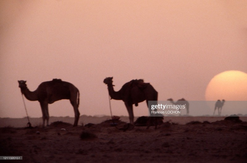 Hinh la ve cuoc song sung suong o A Rap Saudi nam 1980 (1)-Hinh-5