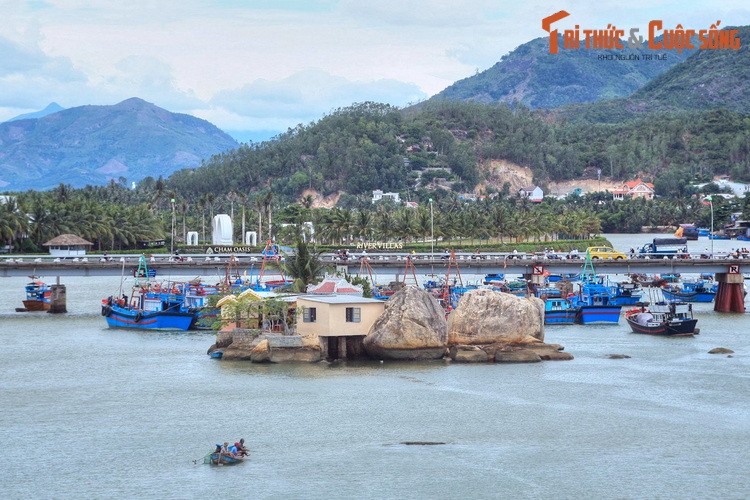 Kham pha dong song bieu tuong cua thanh pho Nha Trang-Hinh-5