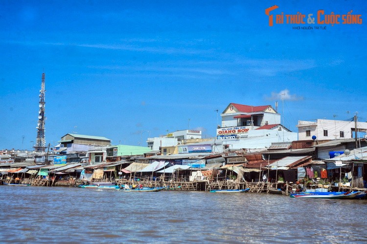 Ngay ngat truoc nhung phong canh tuyet voi cua Ca Mau (2)