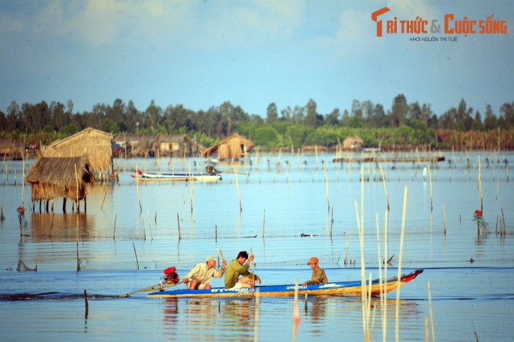 Ngan nguoi ngam binh minh va hoang hon tren dam Thi Tuong-Hinh-5