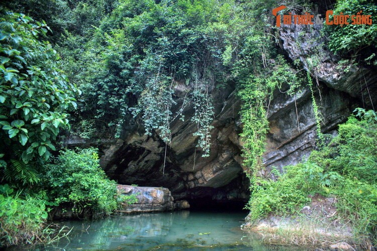 Dam chim trong ve dep so khai cua Thung Nang Ninh Binh-Hinh-12