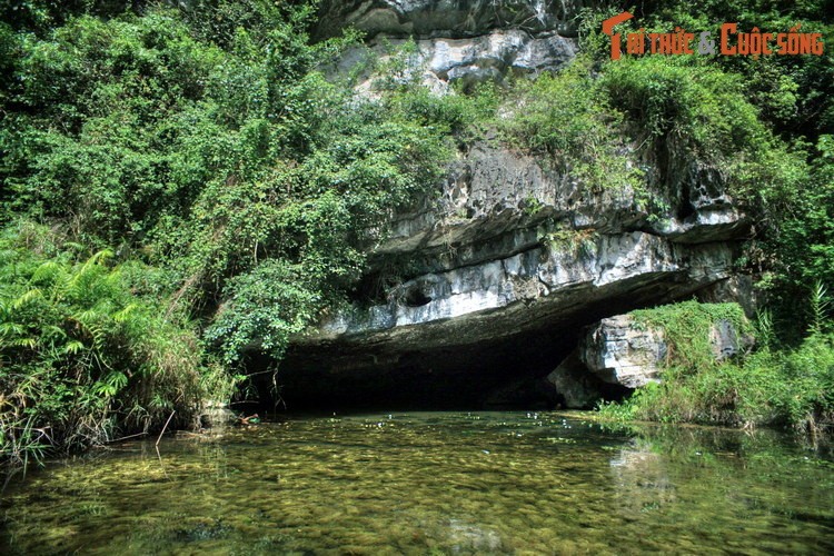 Dam chim trong ve dep so khai cua Thung Nang Ninh Binh-Hinh-4