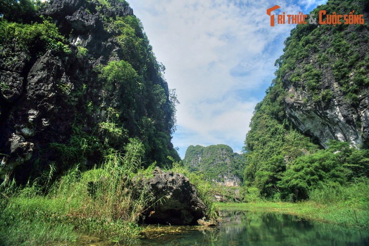 Dam chim trong ve dep so khai cua Thung Nang Ninh Binh-Hinh-9