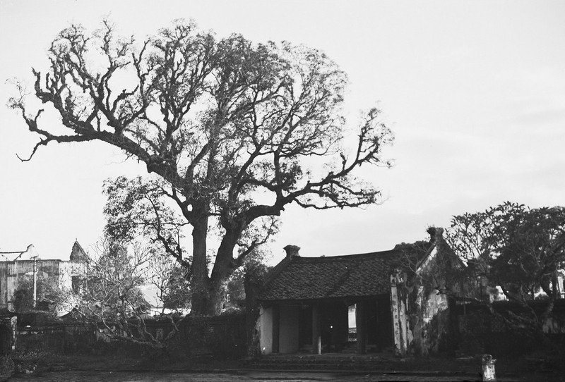 Anh cuc quy ve chua Lien Phai o Ha Noi nam 1952