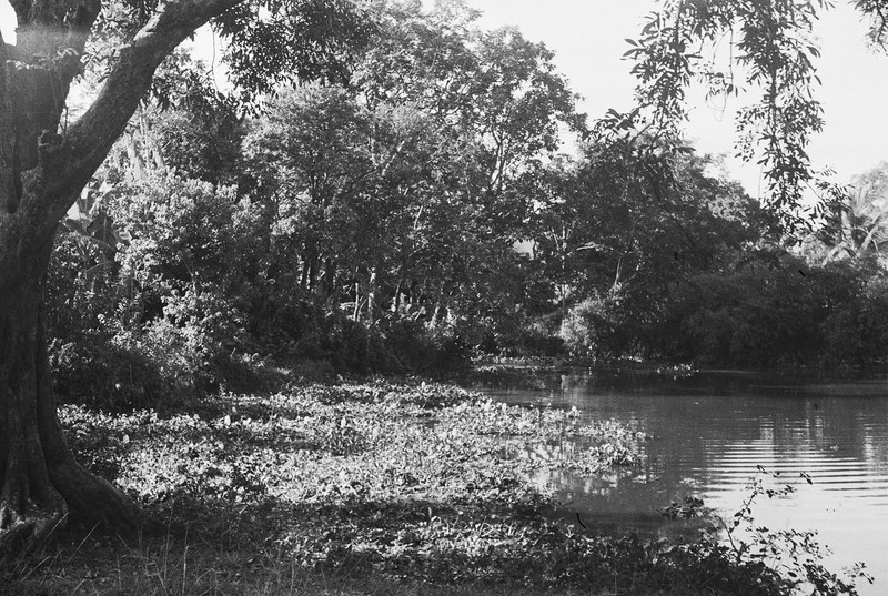 Loat anh hiem ve chua Lang cua Ha Noi nam 1952-Hinh-9