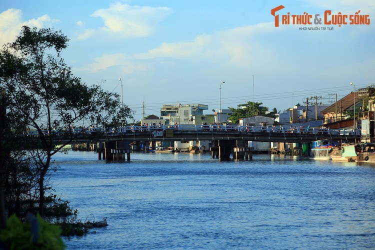 Tiet lo bat ngo ve con song dao dau tien o mien Tay Nam Bo-Hinh-5