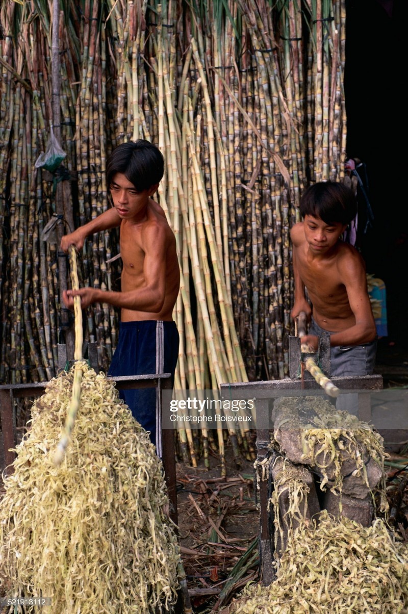 Anh cuc quy ve TP. HCM mua xuan nam 1996 (2)-Hinh-7