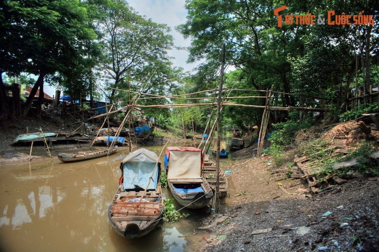 Buc tranh phong canh tuyet voi o manh dat An Giang-Hinh-10