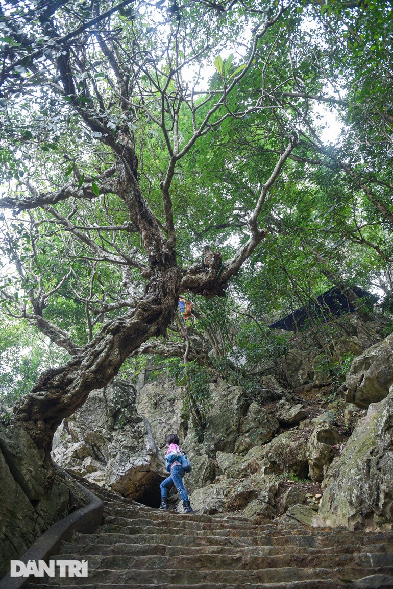 Muc so thi ngoi chua co hang “Son Doong thu nho” o Ha Noi-Hinh-6