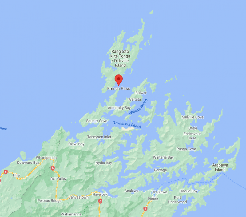 Chu ca heo dan duong tau thuyen qua eo bien New Zealand trong 24 nam-Hinh-2