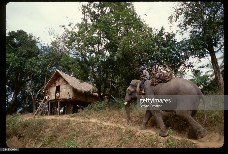 Loat anh kho quen ve Dak Lak nam 1994-Hinh-4