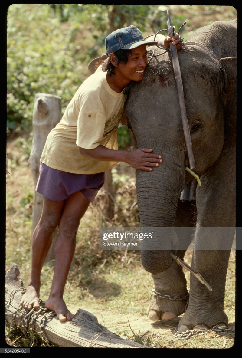 Loat anh kho quen ve Dak Lak nam 1994-Hinh-6