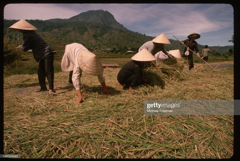 Ba mien Viet Nam nam 1994 qua anh cua Michael Freeman-Hinh-6