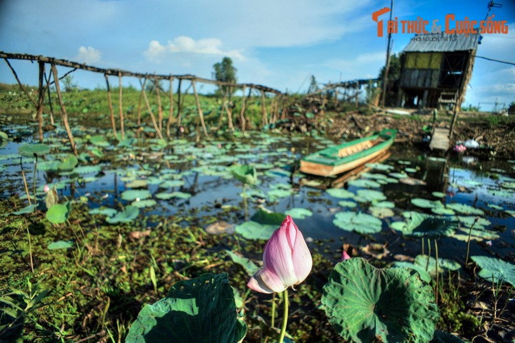 Lang ngam phong canh tuyet voi cua manh dat Dong Thap-Hinh-2