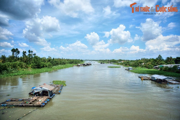 Lang ngam phong canh tuyet voi cua manh dat Dong Thap-Hinh-7