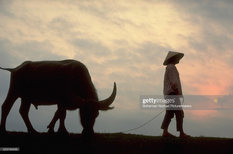 Loat anh khong the khong xem ve Ha Noi nam 1991-Hinh-9