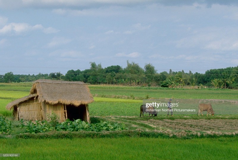 Loat anh de doi ve TP.HCM nam 1991 qua ong kinh Tay-Hinh-10