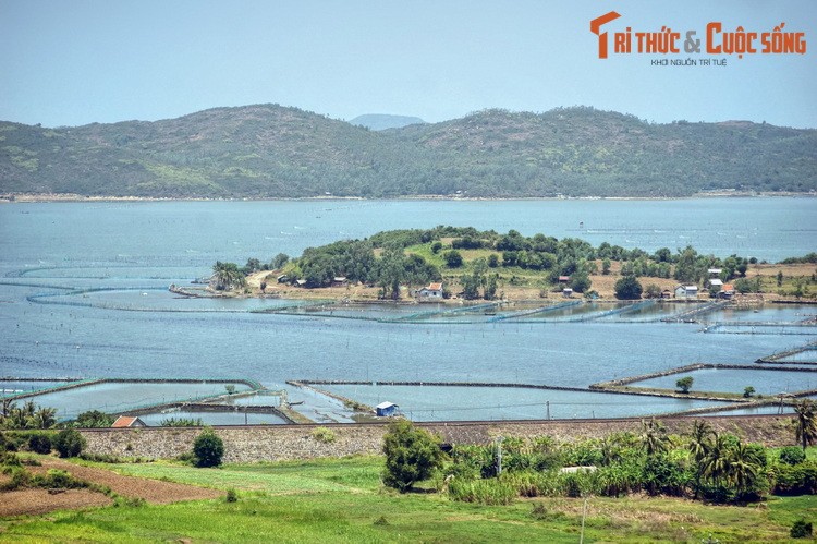 Thuc hu ve nam mo khong lo cua Cao Bien tren dat Phu Yen-Hinh-4