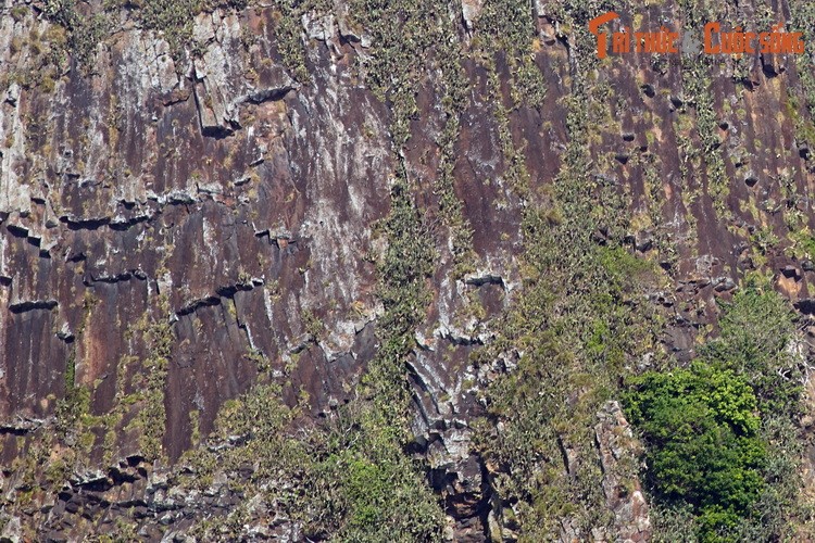 Soi “Ganh Da Dia” thu hai, noi len giua bien o Phu Yen-Hinh-6