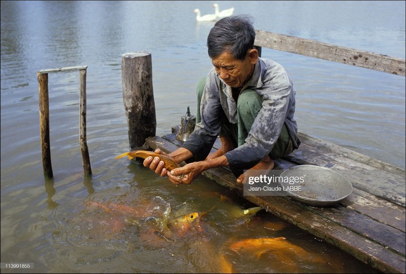 Anh cuc hiem: Cuoc song thon da o ngoai o TP. HCM nam 1991-Hinh-6